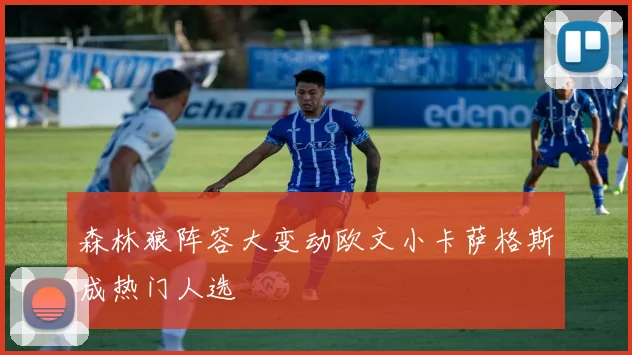 森林狼阵容大变动欧文小卡萨格斯成热门人选